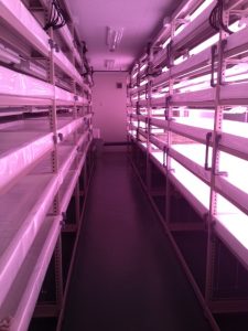 %e5%a4%a7%e8%a6%8f%e6%a8%a1%e5%b7%a5%e5%a0%b4%ef%bc%91%ef%bd%86%e5%86%85%e9%83%a8%e2%91%a9