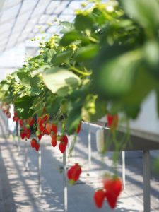 b677522d0bf9908b01b092b1314ac072_s