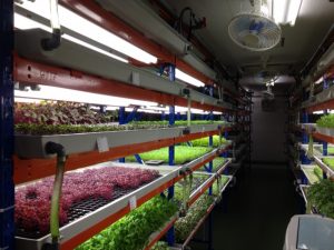 %e5%86%99%e7%9c%9f-21